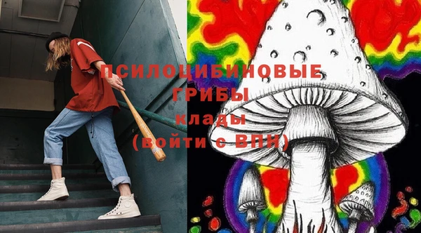дурь Армянск
