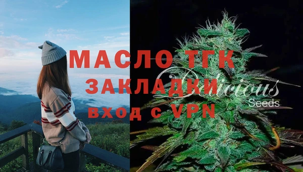 спайс Арсеньев