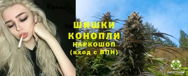 спайс Арсеньев