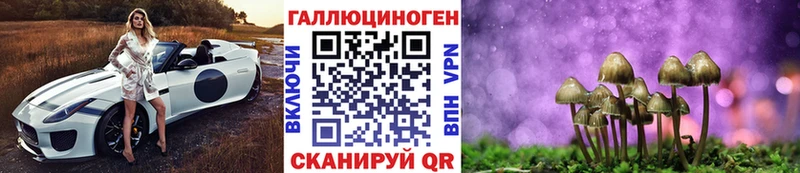 Псилоцибиновые грибы мицелий Менделеевск