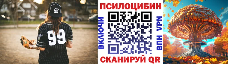 Галлюциногенные грибы Psilocybe  МЕГА tor  Менделеевск 